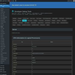 Page screenshot: Developer Debug Tools &rarr; Server