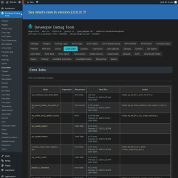 Page screenshot: Developer Debug Tools &rarr; Cron Jobs