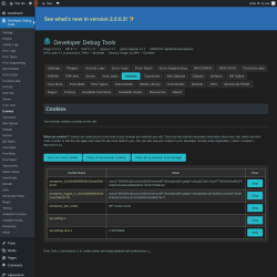 Page screenshot: Developer Debug Tools &rarr; Cookies
