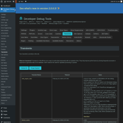 Page screenshot: Developer Debug Tools &rarr; Transients
