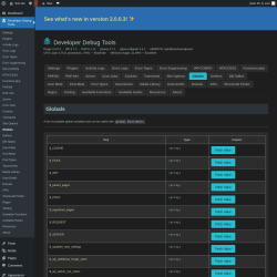 Page screenshot: Developer Debug Tools &rarr; Globals