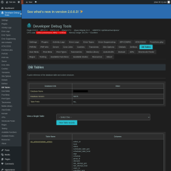 Page screenshot: Developer Debug Tools &rarr; DB Tables