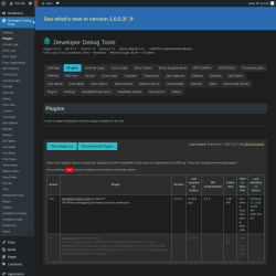 Page screenshot: Developer Debug Tools &rarr; Plugins