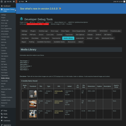 Page screenshot: Developer Debug Tools &rarr; Media Library