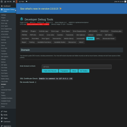 Page screenshot: Developer Debug Tools &rarr; Domain