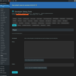 Page screenshot: Developer Debug Tools &rarr; Regex