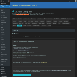 Page screenshot: Developer Debug Tools &rarr; Testing
