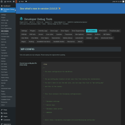 Page screenshot: Developer Debug Tools &rarr; WP-CONFIG