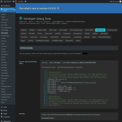 Page screenshot: Developer Debug Tools &rarr; HTACCESS