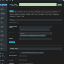 Page screenshot: Developer Debug Tools