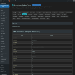 Page screenshot: Developer Debug Tools &rarr; Server