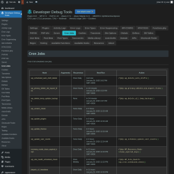 Page screenshot: Developer Debug Tools &rarr; Cron Jobs