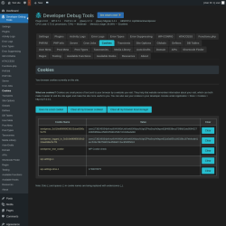 Page screenshot: Developer Debug Tools &rarr; Cookies