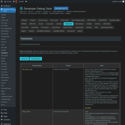 Page screenshot: Developer Debug Tools &rarr; Transients