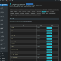 Page screenshot: Developer Debug Tools &rarr; Globals