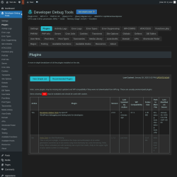 Page screenshot: Developer Debug Tools &rarr; Plugins