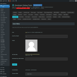 Page screenshot: Developer Debug Tools &rarr; User Meta