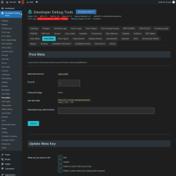 Page screenshot: Developer Debug Tools &rarr; Post Meta