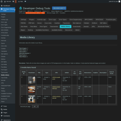 Page screenshot: Developer Debug Tools &rarr; Media Library