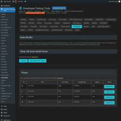 Page screenshot: Developer Debug Tools &rarr; Auto-Drafts