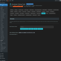 Page screenshot: Developer Debug Tools &rarr; Domain