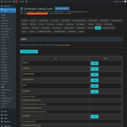 Page screenshot: Developer Debug Tools &rarr; APIs