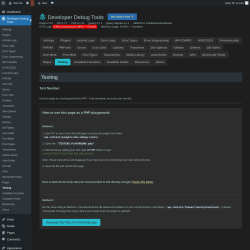 Page screenshot: Developer Debug Tools &rarr; Testing