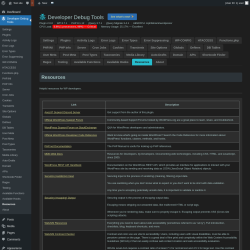 Page screenshot: Developer Debug Tools &rarr; Resources