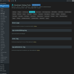 Page screenshot: Developer Debug Tools &rarr; Error Logs