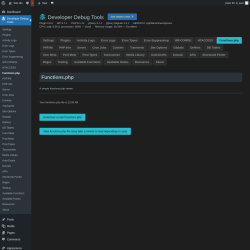Page screenshot: Developer Debug Tools &rarr; Functions.php