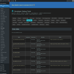 Page screenshot: Developer Debug Tools &rarr; Cron Jobs