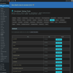 Page screenshot: Developer Debug Tools &rarr; Globals