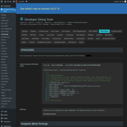 Page screenshot: Developer Debug Tools &rarr; HTACCESS