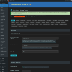 Page screenshot: Developer Debug Tools