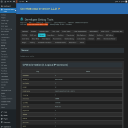 Page screenshot: Developer Debug Tools &rarr; Server