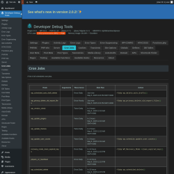 Page screenshot: Developer Debug Tools &rarr; Cron Jobs