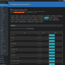 Page screenshot: Developer Debug Tools &rarr; Globals