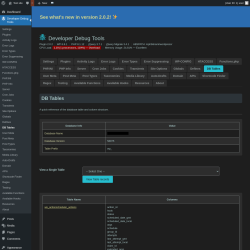 Page screenshot: Developer Debug Tools &rarr; DB Tables