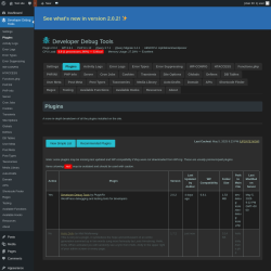 Page screenshot: Developer Debug Tools &rarr; Plugins