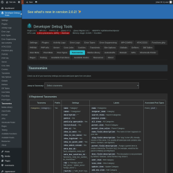 Page screenshot: Developer Debug Tools &rarr; Taxonomies