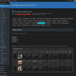 Page screenshot: Developer Debug Tools &rarr; Media Library