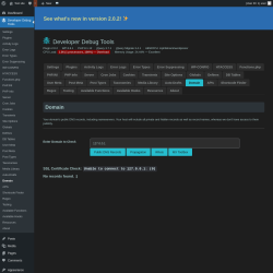 Page screenshot: Developer Debug Tools &rarr; Domain