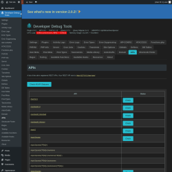 Page screenshot: Developer Debug Tools &rarr; APIs