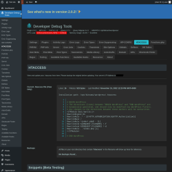 Page screenshot: Developer Debug Tools &rarr; HTACCESS
