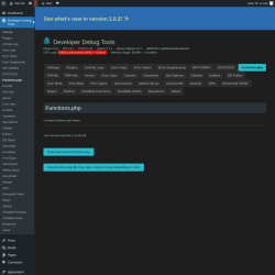 Page screenshot: Developer Debug Tools &rarr; Functions.php