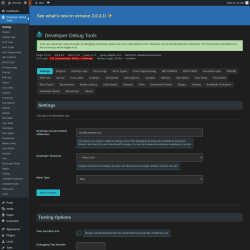Page screenshot: Developer Debug Tools