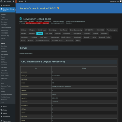 Page screenshot: Developer Debug Tools &rarr; Server