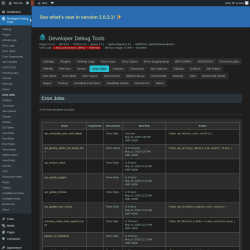Page screenshot: Developer Debug Tools &rarr; Cron Jobs