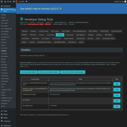 Page screenshot: Developer Debug Tools &rarr; Cookies
