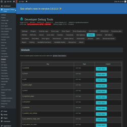 Page screenshot: Developer Debug Tools &rarr; Globals